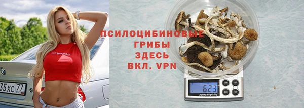 ешки Абинск