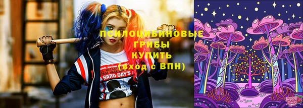 ешки Абинск