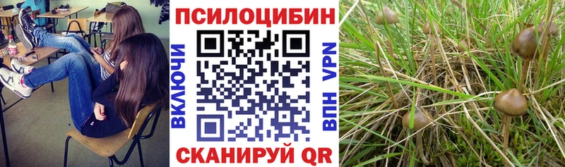 Галлюциногенные грибы Psilocybine cubensis  Шумерля 