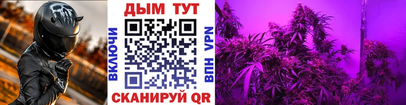 гидра как зайти  Шумерля  Бошки марихуана планчик 